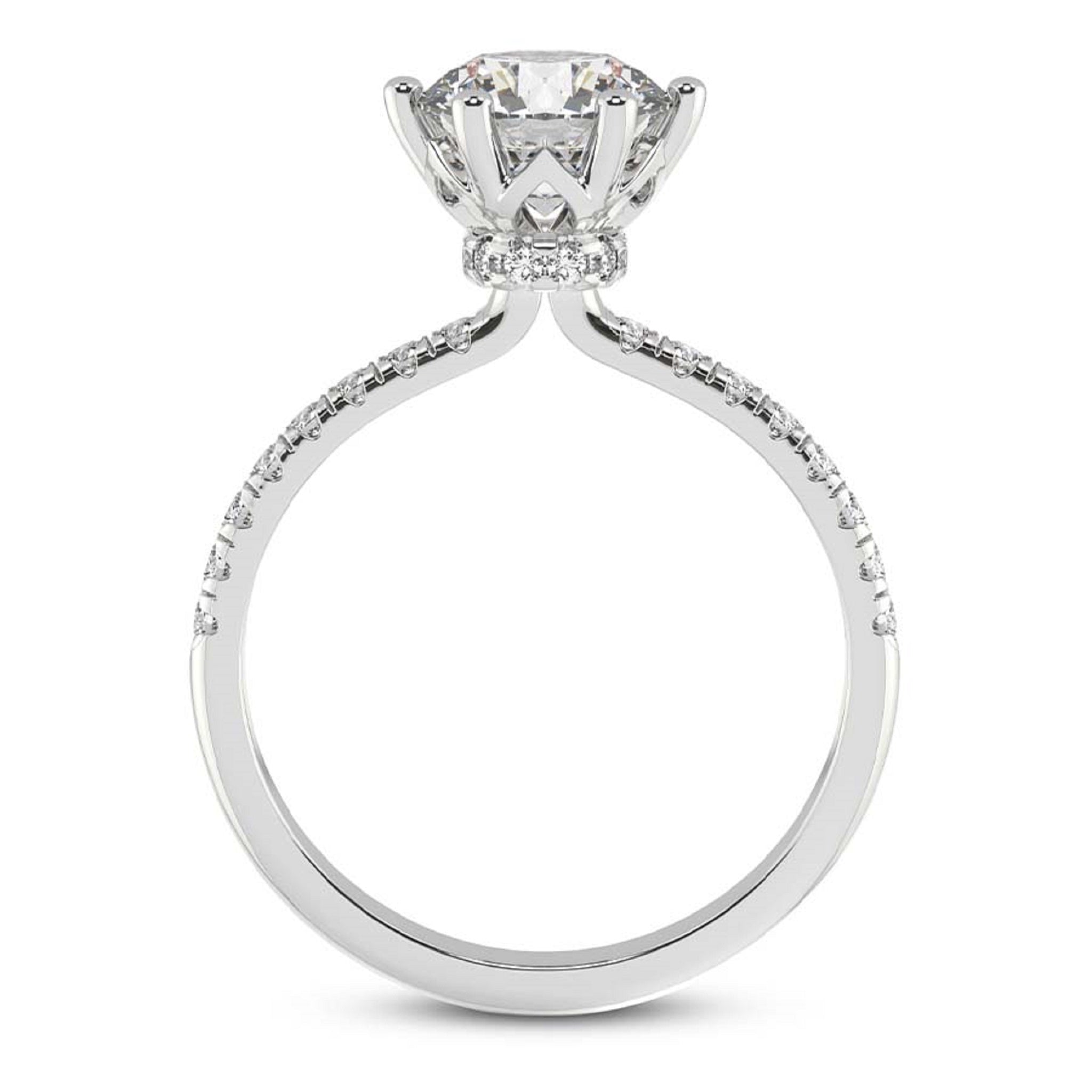 Unique Secret Halo Round Engagement Ring