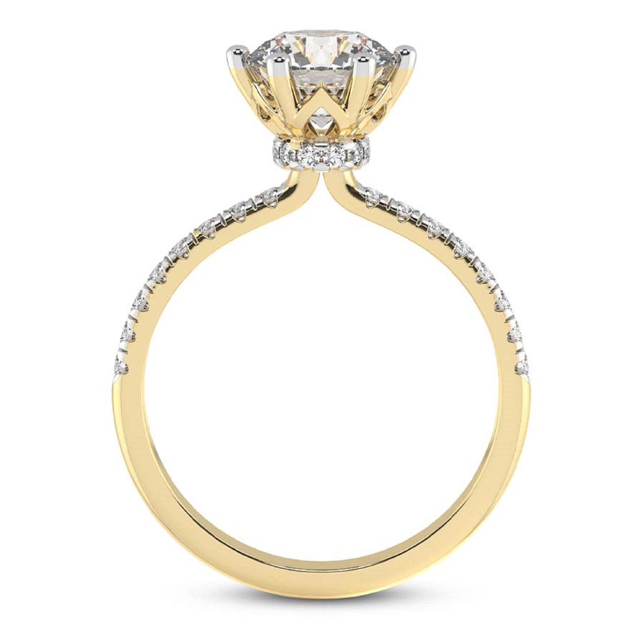 Unique Secret Halo Round Engagement Ring
